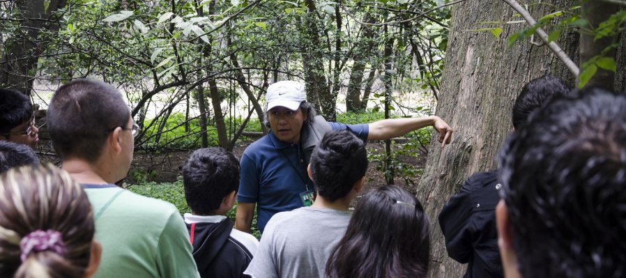 Exploradores de Chapultepec