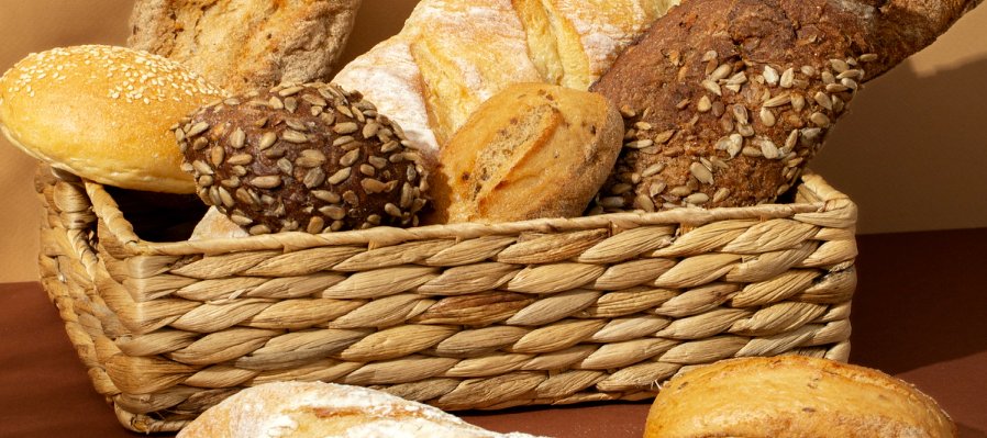 Raíces que nos unen