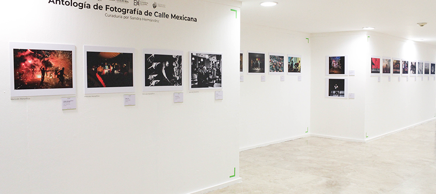 Antología de fotografía de calle mexicana