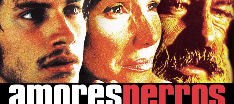 Amores perros