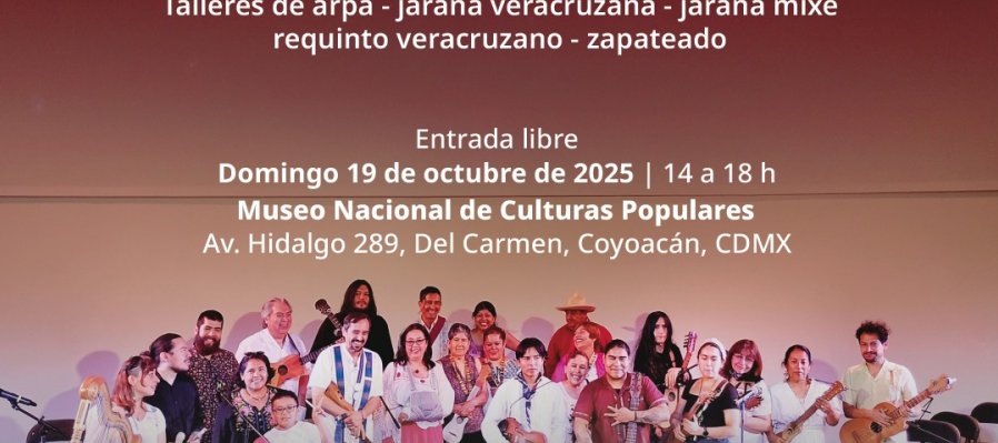 Fandango Incluyente Talleres de arpa- jarana veracruzana-jarana mixe requinto veracruzano- zapateado