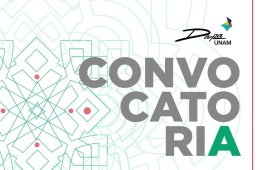 Historia, coreografÃ­a e indumentaria de Flor de PiÃ±a