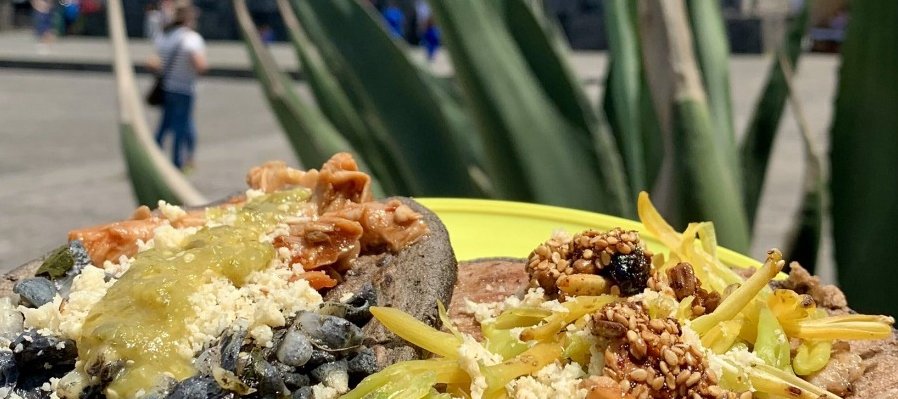 Festival de la cocina mexicana