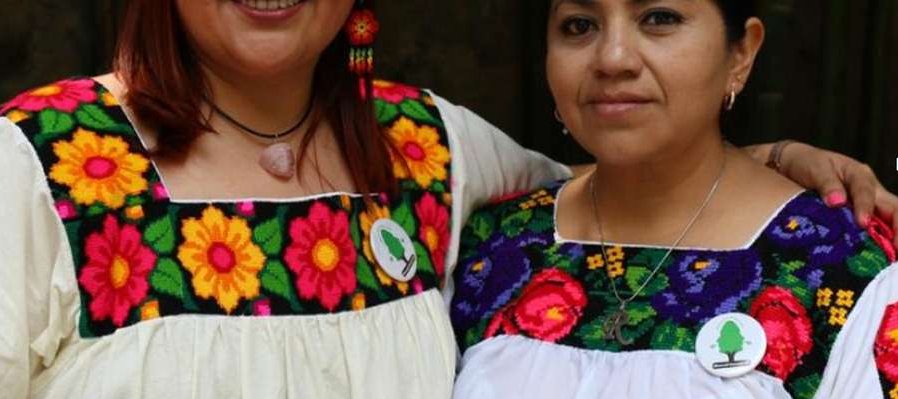 Feria de las Lenguas Indígenas Nacionales