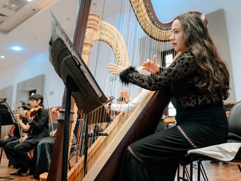 Concierto inaugural del Festival de Arpas