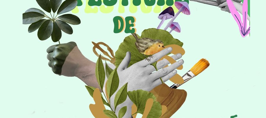 14 festival de arte y ecología