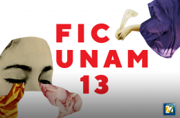FICUNAM 13: Aciertos