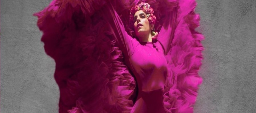 Flamenco 2026, una mirada