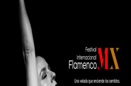 Imagen muestra de la actividad Gala Clausura del Festival Flamenco de la Ciudad de Méxi...