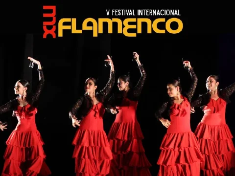 Gala de festival internacional flamenco MX