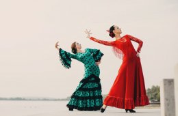 Imagen muestra de la actividad Taller de flamenco para principiantes