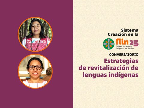 Estrategias de revitalización de lenguas indígenas
