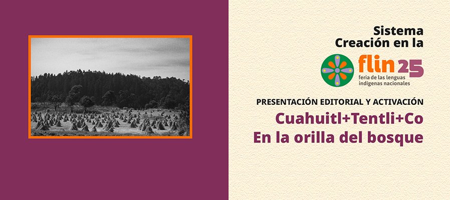 En la orilla del bosque (Cuahuitl Tentli Co)