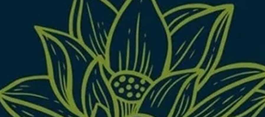 Flora Urbana en Villahermosa