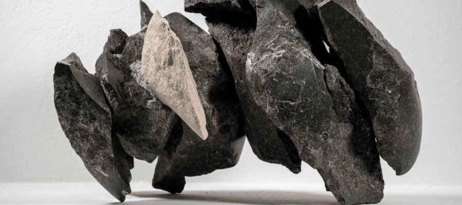 Florecer en piedra: viento, olas y pétalos