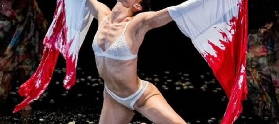 Flores Negras para Violeta y Alguna Vez vi a un Colibrí