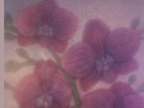 Flores y Tauromaquia