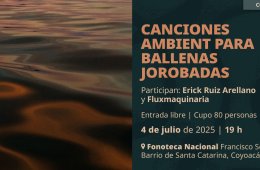 Imagen muestra de la actividad Canciones ambient para ballenas jorobadas