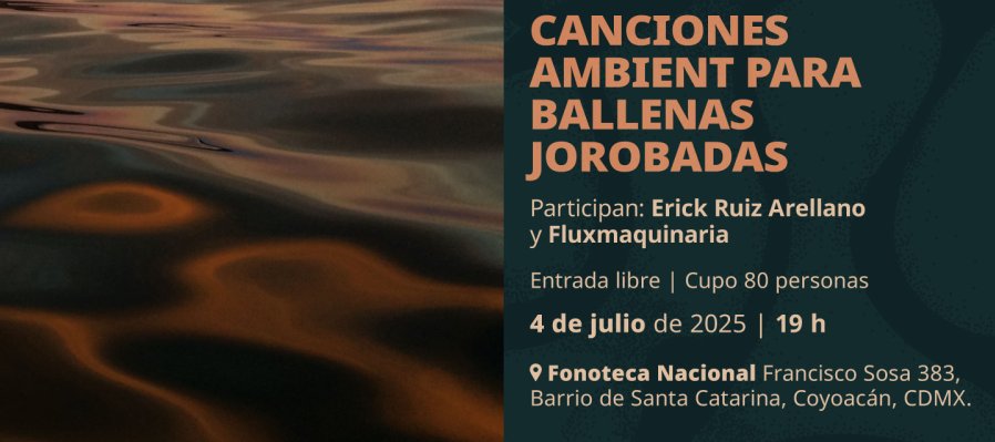 Canciones ambient para ballenas jorobadas