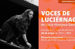 Voces de luciérnagas