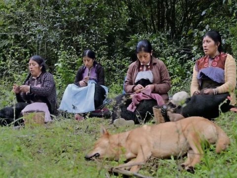 Formas de atravesar un territorio