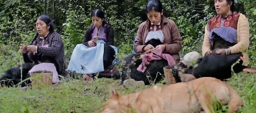 Formas de atravesar un territorio