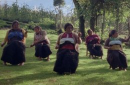 Imagen muestra de la actividad Formas de atravesar un territorio