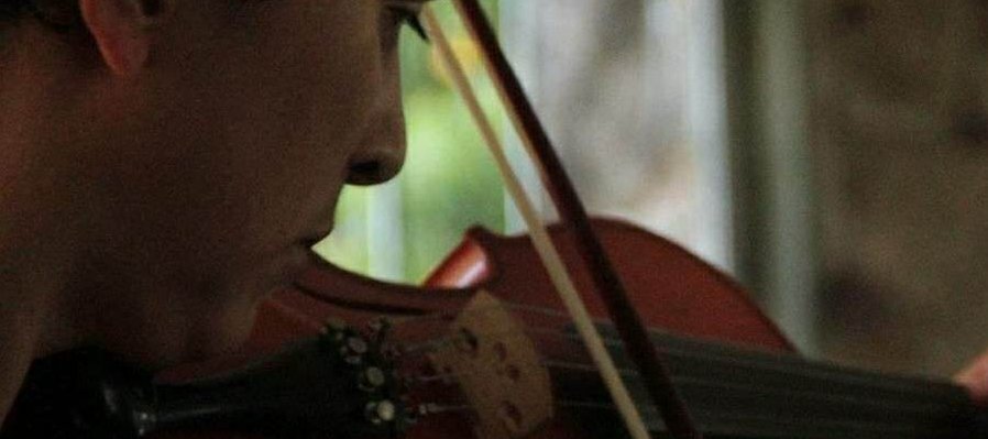 Violín