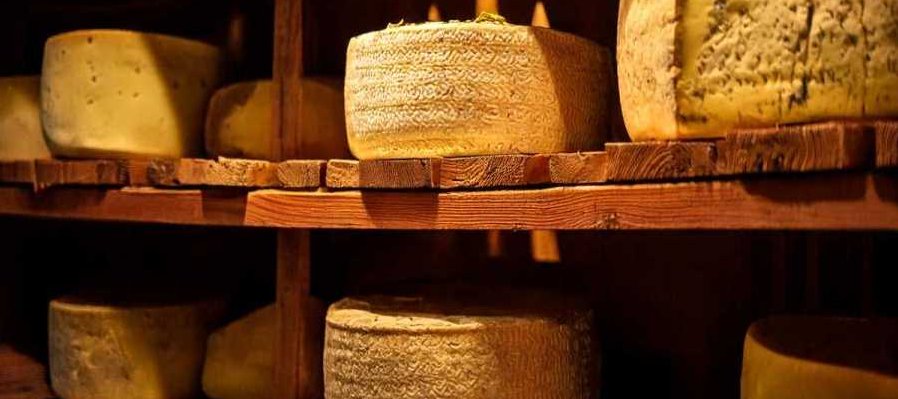 Implicaciones de la revitalización de los alimentos artesanales desde la gastronomía: una mirada desde la región de origen del queso cotija