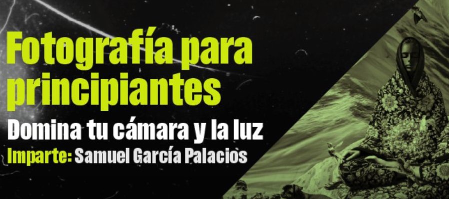 Fotografía para principiantes: domina tu cámara y la luz