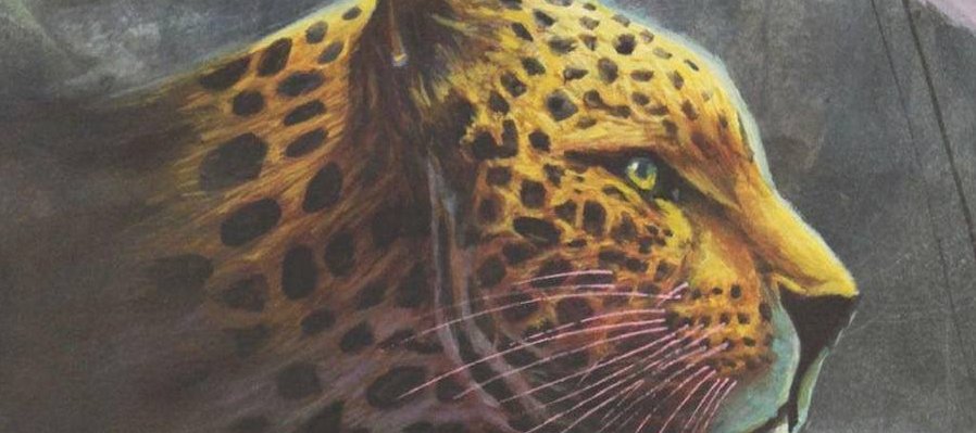 Fragmentos de un nahual abstracto