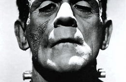 Imagen muestra de la actividad: Frankenstein