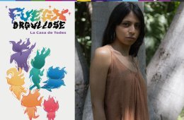 Imagen muestra de la actividad Luisa Almaguer.