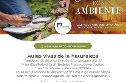 Imagen muestra de la actividad: Aulas vivas de la naturaleza