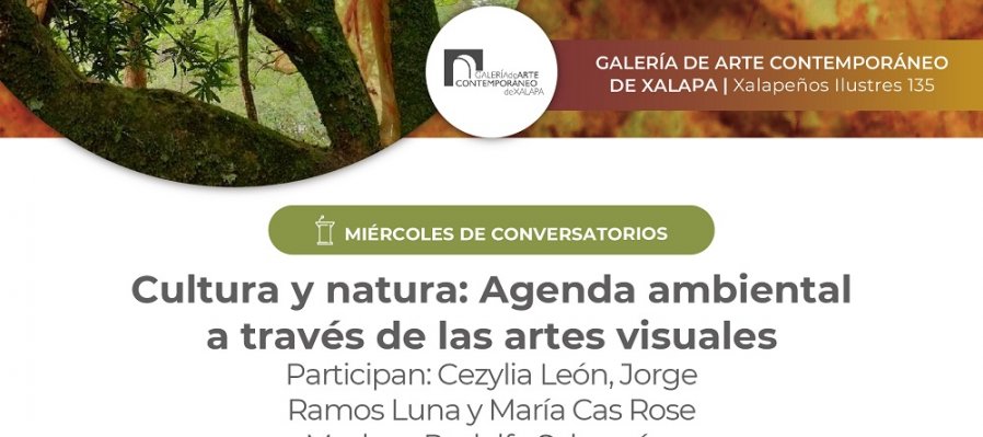 Cultura y natura: Agenda ambiental a través de las artes visuales