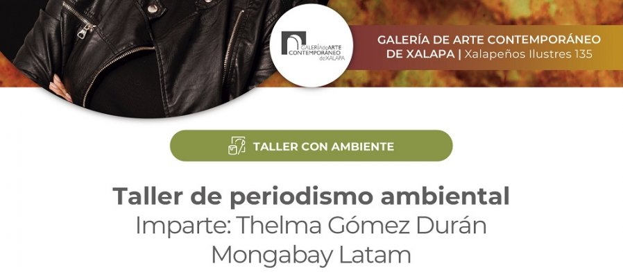 Periodismo ambiental
