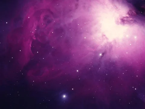 Galaxias