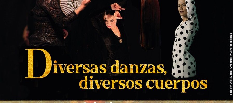 Gala Flamenca, 4 solistas