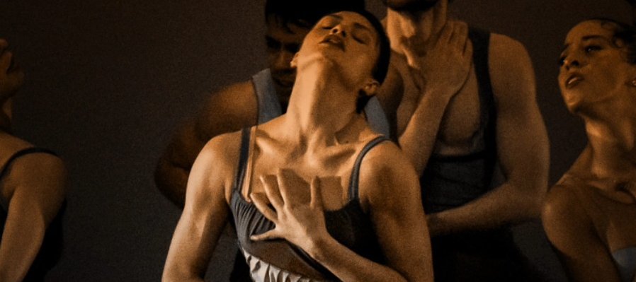 Gala contemporánea
