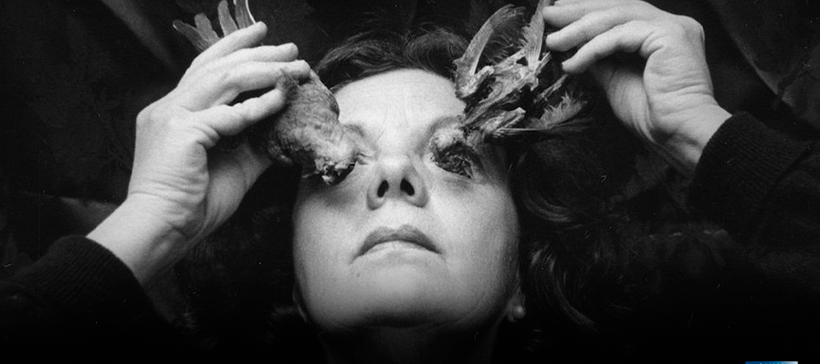 Galería plástica. Graciela Iturbide