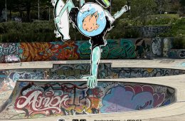 Imagen muestra de la actividad Go Skate Day.