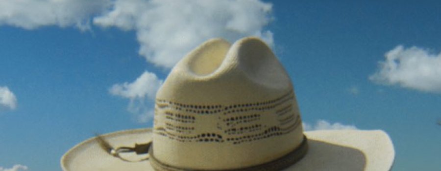 La guardia blanca