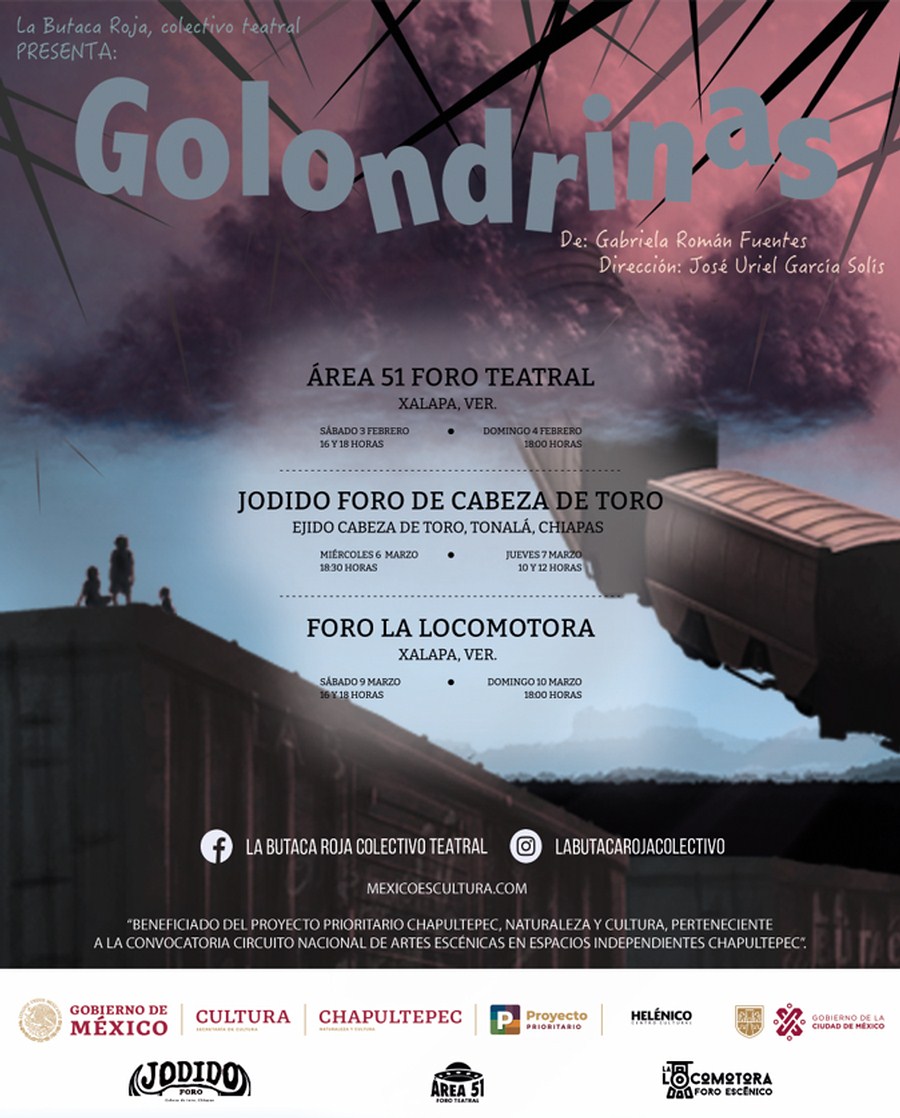 Imagen muestra de Golondrinas