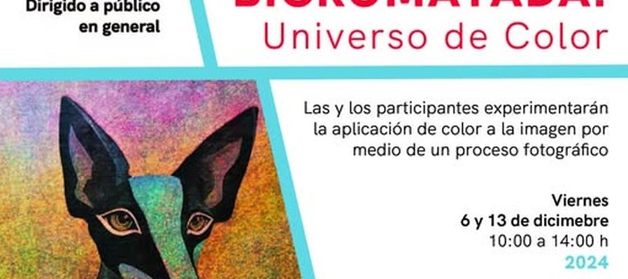 Goma Bicromatada: Universo de Color