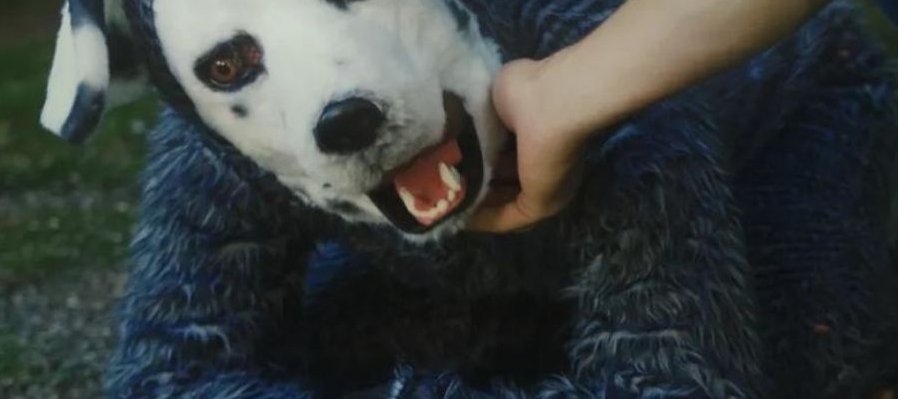 Good Boy