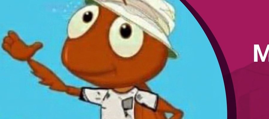 Mi grillo caribeño, por amor a México