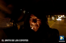 El grito de los coyotes