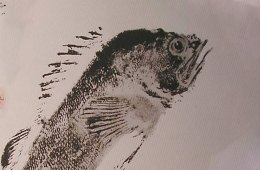 Imagen muestra de la actividad Gyotaku-Do
