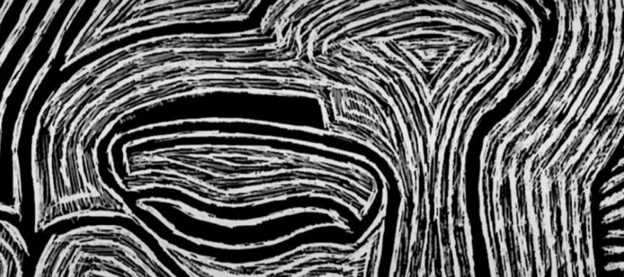 Habitando el Espectro Autista