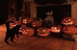 Imagen muestra de la actividad Música de halloween